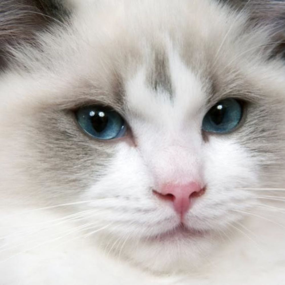 Meet your Posher, Aileen